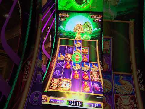 CASINO ESPAÑOL CON DINERO REAL | LOS MEJORES CASINOS ONLINE