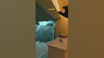 STOP DE PLANT MOLLY #shorts #cs2