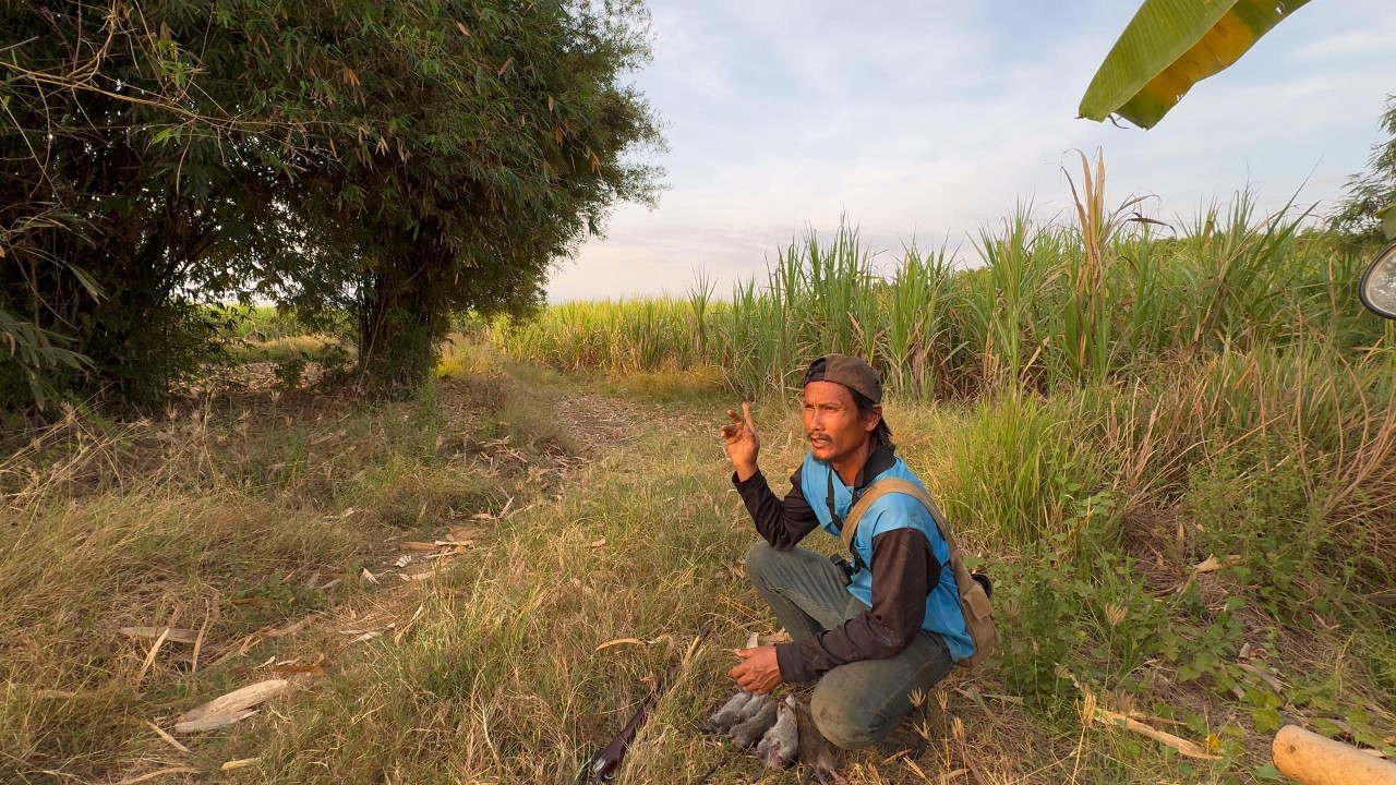 กองข้าวอ่อยหมายเดิม หมายนี้ได้ไม่ต่ำ10แต้มแล้ว  |  พรานหมึก คนตีผึ้ง