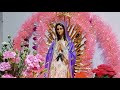 EL SANTO ROSARIO DE HOY 23 DE MARZO 🙏 MISTERIOS GOZOSOS 🙏 está en vivo