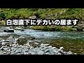 【渓流】注意してください！白泡の下に大ヤマメが潜んでいます！
