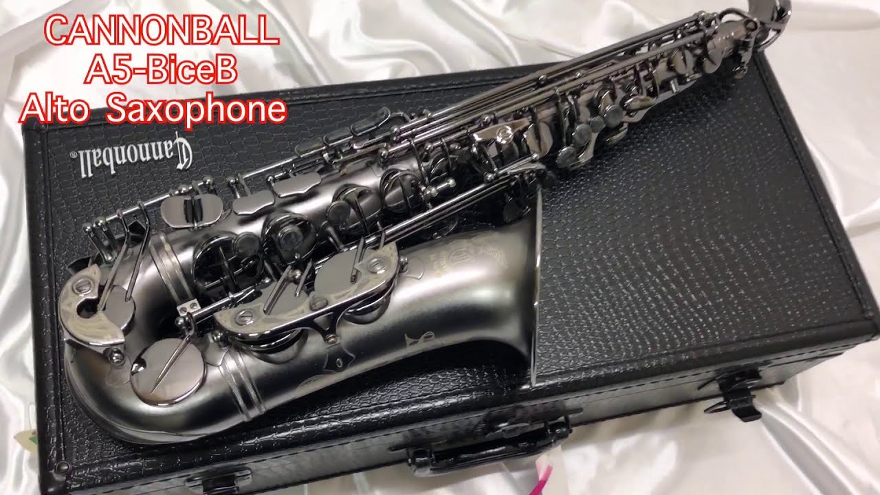キャノンボール A5-BiceB 中古 アルトサックス Raven Big Bell Stone