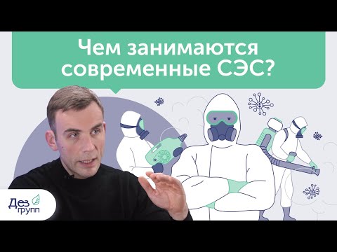 Чем занимаются современные санитарные службы? Спектр услуг СЭС