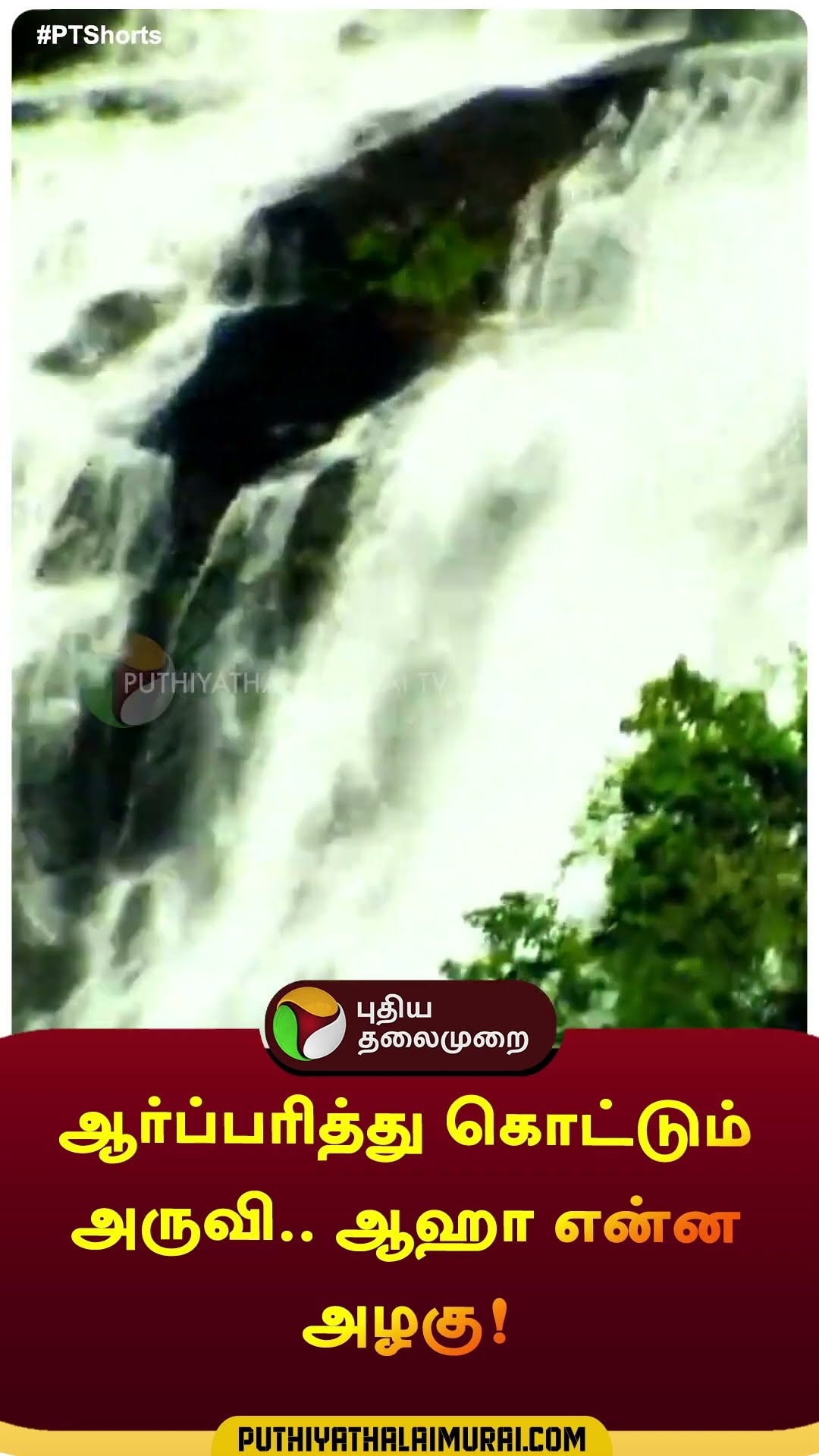 ஆர்ப்பரித்து கொட்டும் அருவி.. ஆஹா என்ன அழகு! | #shorts | #kodaikanal | #mullaiyaru
