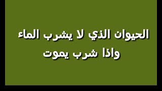 هل تعلم الحيوان الذي لا يشرب الماء واذا شرب يموت