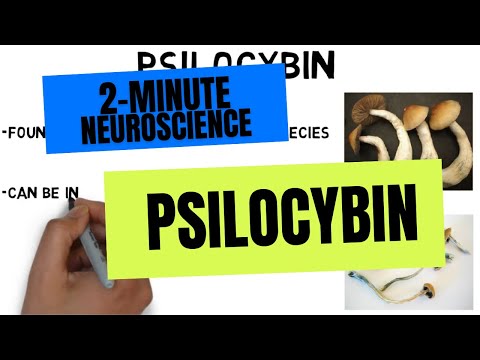 2-Minute Neuroscience: Psilocybin