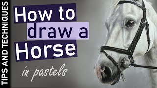 How to draw a Horse in pastels | Drawing fur/hair in pastels screenshot 2