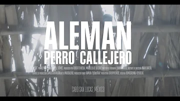 Alemán - Perro Callejero (Official Video)