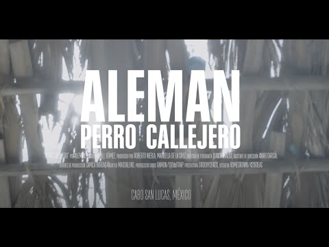 Alemán - Perro Callejero