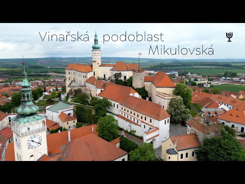 Video: Sprievodca viničmi a vinárstvom v Alabame