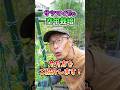 家庭菜園や農園のサツマイモ栽培は立体栽培で収穫量増加!空中につるを這わせる方法とサツマイモの育て方!【農家直伝】#shorts