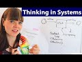 Thinking In Systems Key Ideas Ch 1