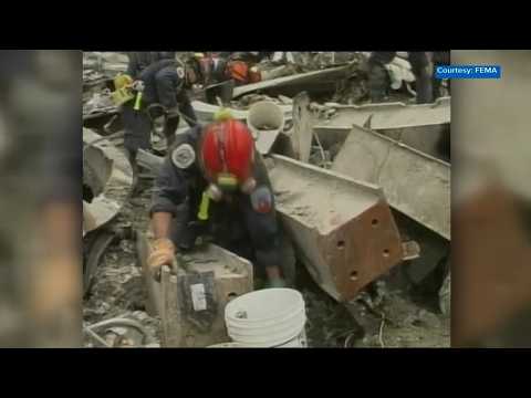 How 9/11 changed everyday American life