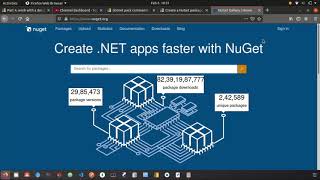 Create a Nuget package | Add package to Nuget.org | Consume package in .net application. screenshot 5