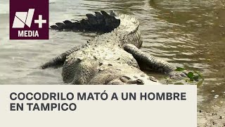 Ataque de cocodrilo en Tampico deja un muerto - N+15