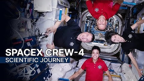 NASA Crew 4 Explores New Frontiers in Space"