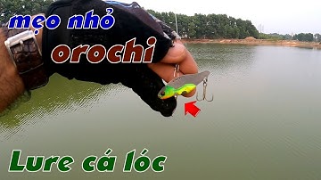 Câu Lure Cá Lóc ✅ Mẹo Nhỏ Tháo Lưỡi Cá sắt Orochi Cào Đáy Hiệu Quả % | Tâm Râu Vlog #230