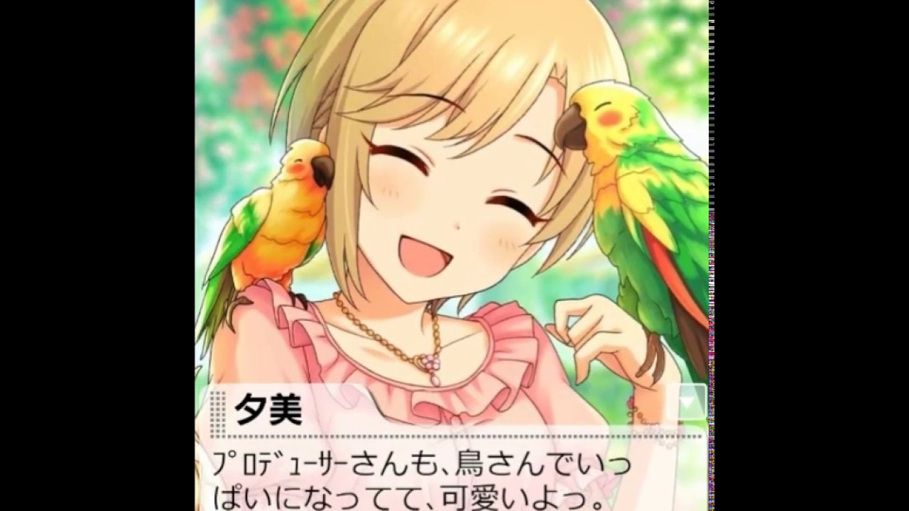 [憩いの花香]相葉夕美 + BGM