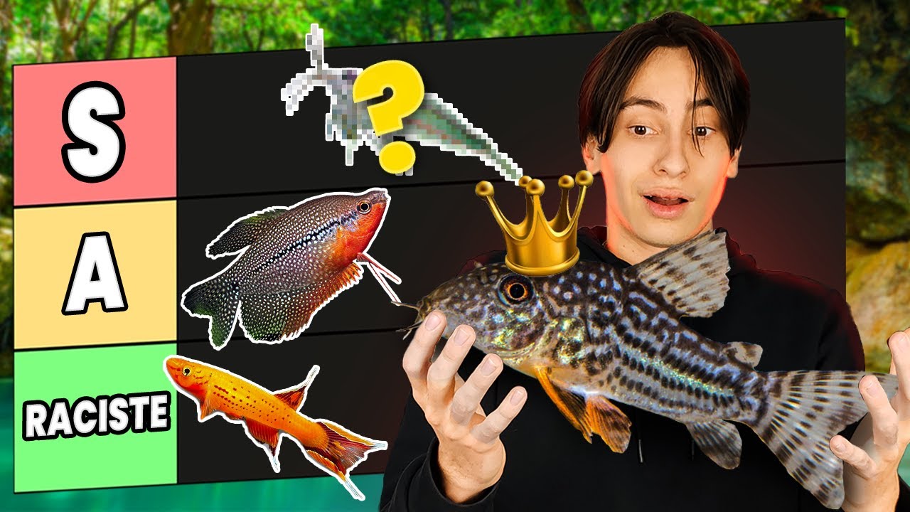 Quel est le MEILLEUR et le PIRE poisson pour ton AQUARIUM COMMUNAUTAIRE ? (on les juge tous)