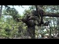 【自然音】淡路島/BGM/海瀧森🌳