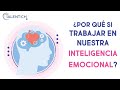 Porque SI trabajar en nuestra Inteligencia Emocional