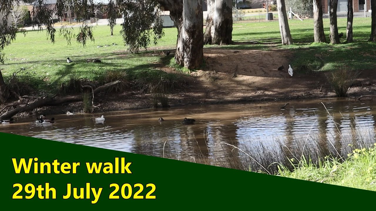 Mid winter walk 29-07-2022. Back creek Epsom Victoria Australia