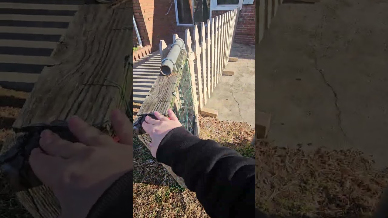 402 George Washington outside 