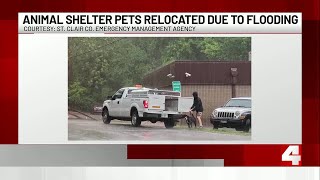 St. Clair Co. Animal Control evacuates building due to flash flooding
