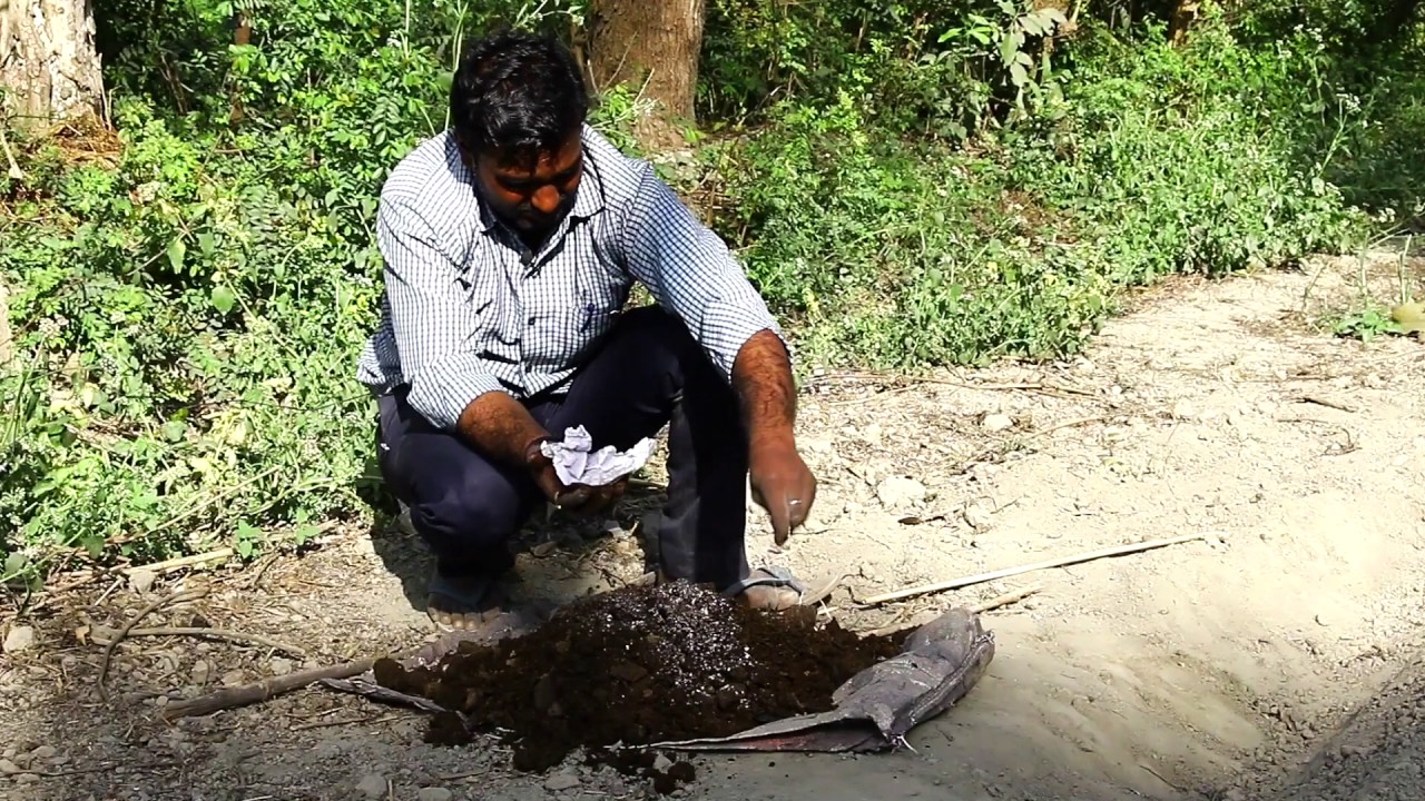 Chilli PoP_Nursery Bed Preparation YouTube