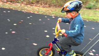 IMG 0221