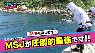 エギングロッドで魚も釣る！？二刀流のススメ（ソルパラTV・2025年10月3日公開）