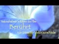 Berührt | Naturaufnahmen zum Film Berührt in der Gärtnerei Peter Schultz in Sacrow