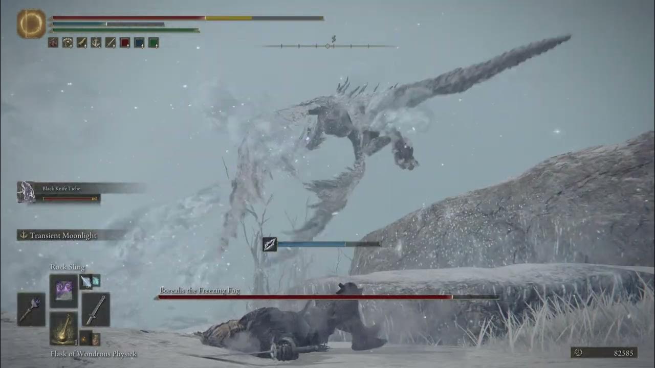ELDEN RING - Borealis Dragon Cheese - YouTube