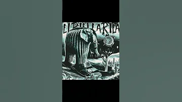 LIRILI LARILA FUNK Super Slowed Brainrot Lirililarila Phonk Shorts 