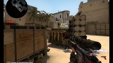 3x heads scout 1 no scope