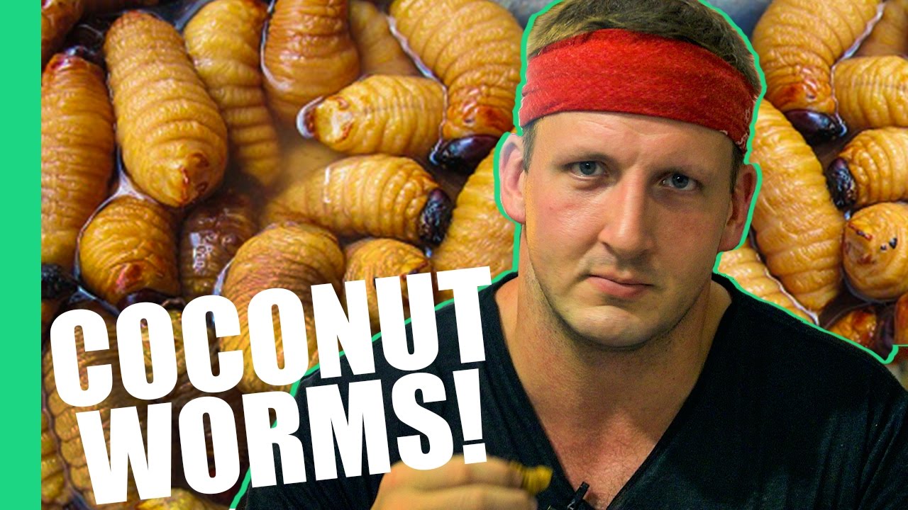 HOW TO EAT COCONUT WORMS! (Inspirational) | Best Ever Food Review Show