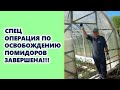 Спецоперация по освобождению помидоров завершена!!!