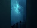 HOLY // ambient, dark ambient #ambient #backgroundmusic #darkambient