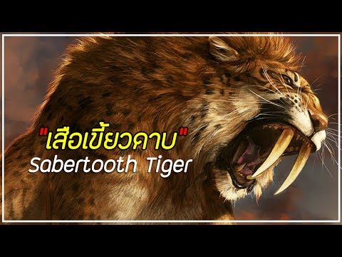 "เสือเขี้ยวดาบ" (Sabertooth Tiger) เพชรฆาตเขี้ยวดาบ | สัตว์โลกดึกดําบรรพ์ EP.1