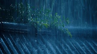 Rain Sound to Sleep 10 Hours 😴 HEAVY RAIN to Fall Asleep FAST