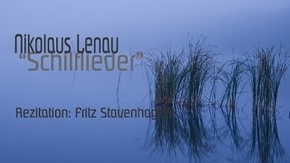 Nikolaus Lenau Schilflieder