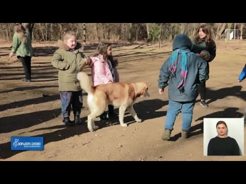 კოხლეარული იმპლანტის მსოფლიო დღე