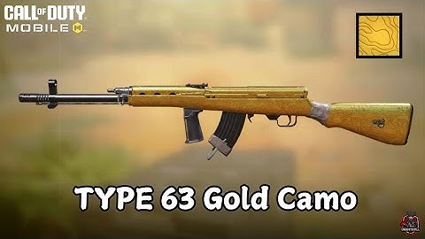I Upgraded the Type 63 to GOLD Camo. Best Gunsmith!