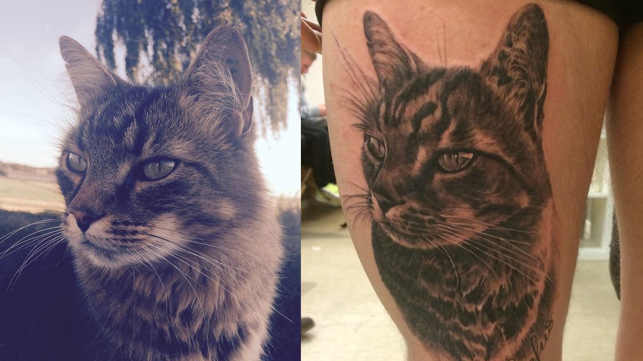 Black and Gray Cat portrait tattoo by Haylo by Haylo TattooNOW
