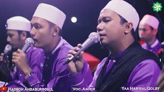 YA HABIBAL QOLBI - Hadroh Ahbaburrosul Voc.Gus Amier YA HABIBAL QOLBI - Hadroh Ahbaburrosul Voc.Gus Amier
