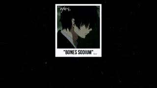 bones sodium(LEGENDA/TRADUÇÃO)