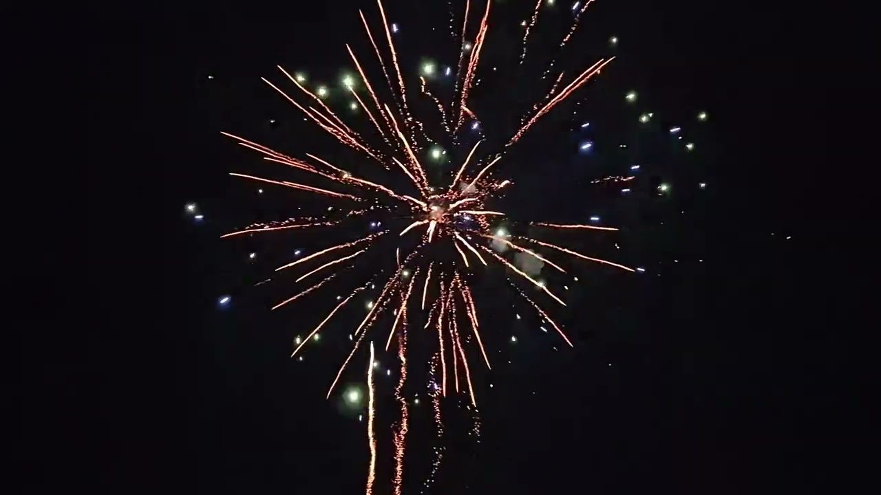 Big bird 1/1 firework!!
