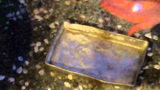 Magic Handheld Fireball