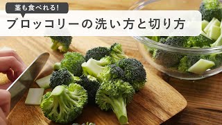 ブロッコリーの洗い方 切り方 バラバラにならないテクニック 野菜の下処理 Youtube