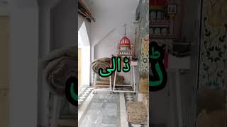 ایسا ولی جو بری سرکار کی چاھت میں اپنے بیٹے کو بھی نہ دفن کیا